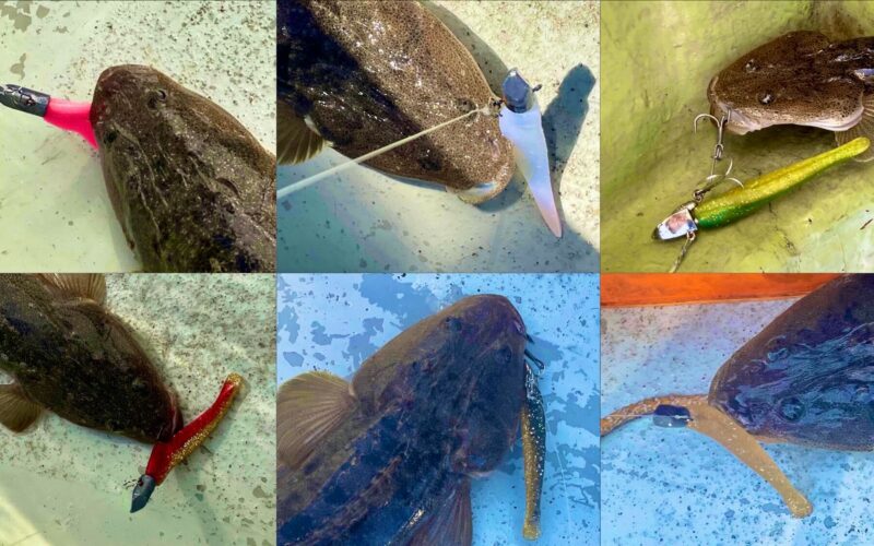 爆釣 マゴチルアー ワーム マナティー90 おすすめカラー8選 A ボトムワインド マゴチジャパン